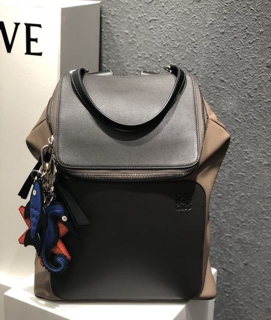 Loewe Leather Backpack 325