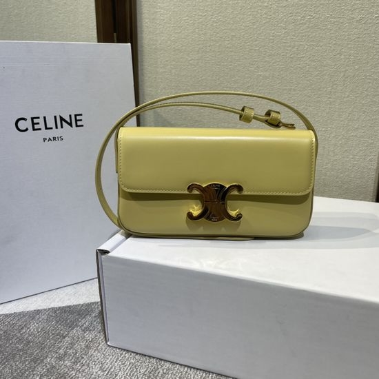 Celine Triomphe Classic Shoulder Bag 194142