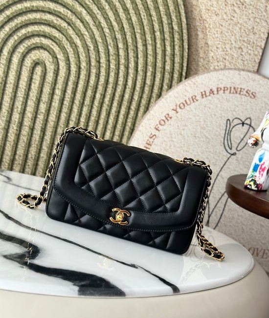 Chanel Vintage CF Chain Bag Gold Hardware A2221