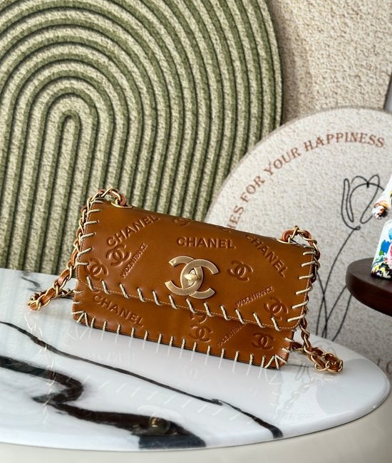 Chanel Vintage Resin Leather Chain Bag A2216
