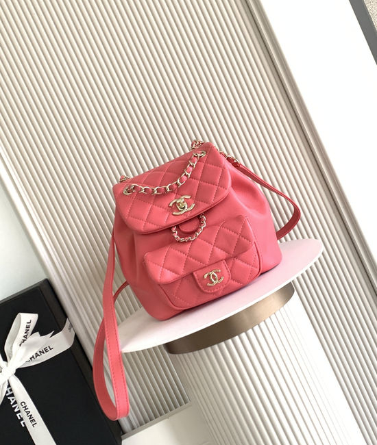 Chanel DUMA Sheepskin Small Backpack AS2908