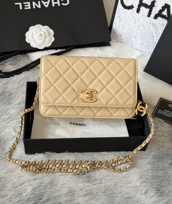Chanel WOC Wallet On Chain AP4038