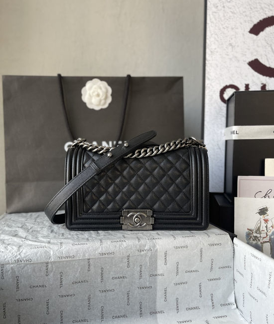 Chanel Leboy Classic Caviar Handbag A67086