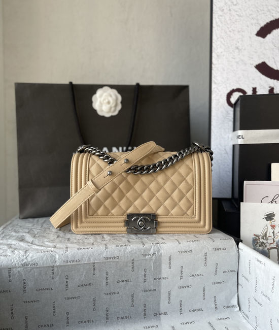 Chanel Leboy Classic Caviar Handbag A67086