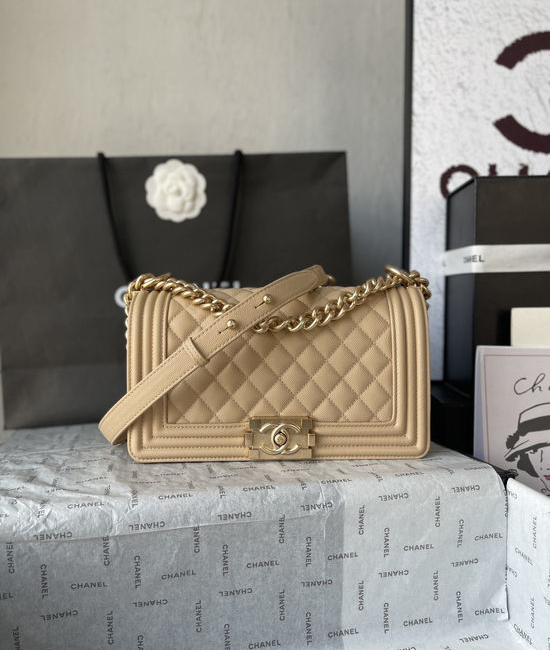 Chanel Leboy Classic Caviar Handbag A67086