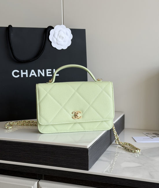 Chanel Handled WOC Bag Sophisticated Crossbody AP5031