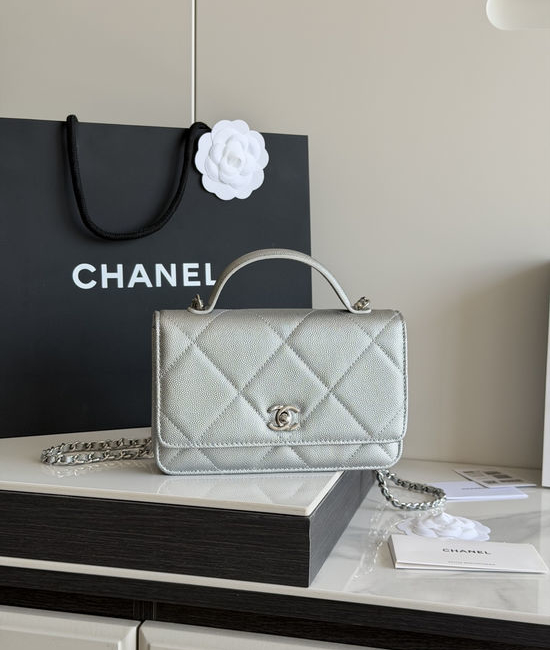 Chanel Handled WOC Crossbody Bag Exquisite Embroidery AP5031