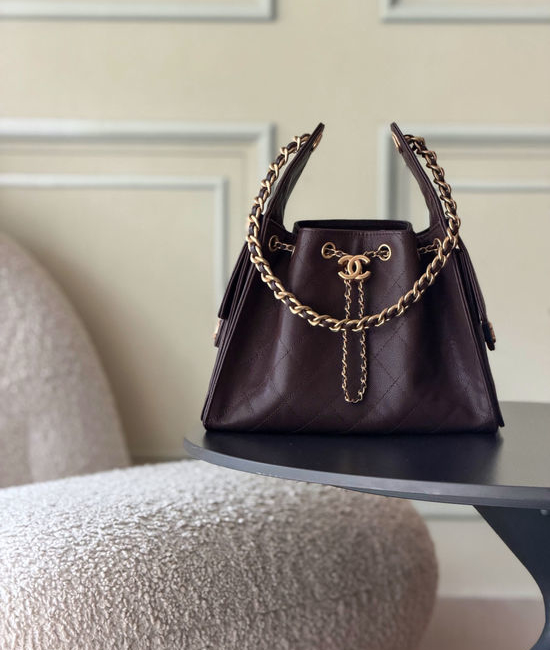 Chanel Hobo Quilted Chain Shoulder Bag AS5293