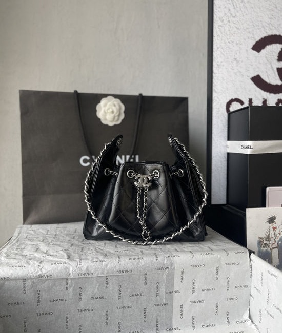 Chanel Hobo Quilted Leather Mini Bucket Bag AS5631