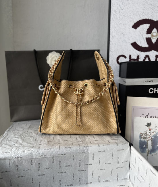 Chanel 25BAG Woven Hobo Bag AS5293