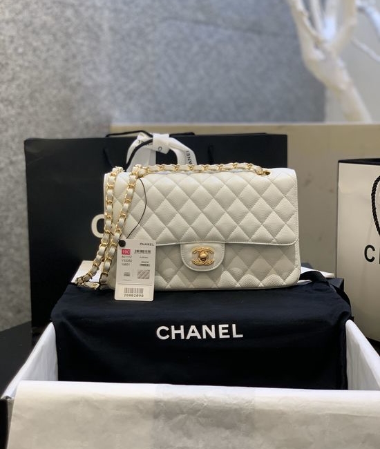 Chanel Classic Fishscale Leather Bag 01112