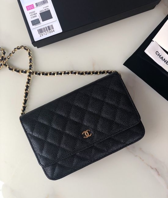 Chanel Woc Chain Bag With Snap Closure AP0250