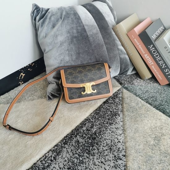 Celine Triomphe Canvas Printed Bag 188882