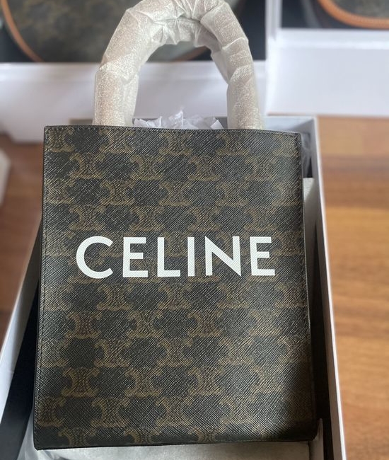 Celine Mini Tote Embroidered Bag 194372