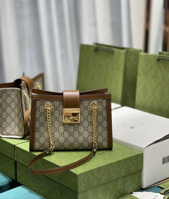 Gucci Supreme Flap Shoulder Chain Bag 498156