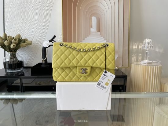 Chanel CF2.55 Classic Elegant Handbag 01112