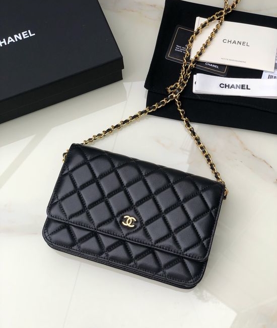 Chanel WOC Chain Bag New Version AP0250