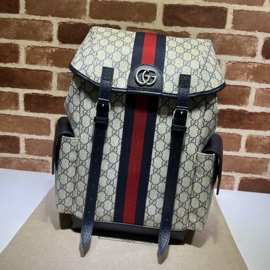 Gucci Classic Blue Coated Canvas Handbag 598140