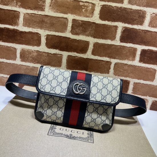 Gucci Blue Coated Canvas Leather Bag 674081