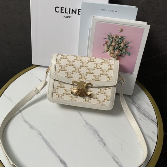 Celine TEEN TRIOMPHE Canvas Leather Handbag 188882