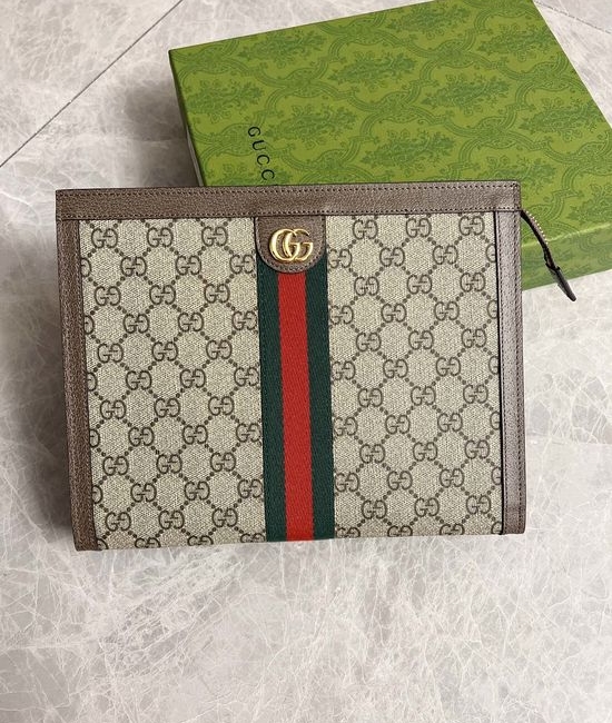 Gucci Ophidia Handbag 625549
