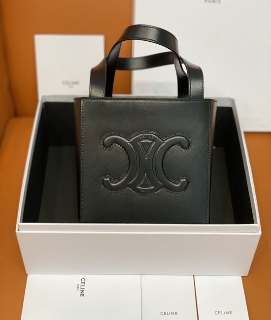 Celine Triomphe Cube Handbag 199202