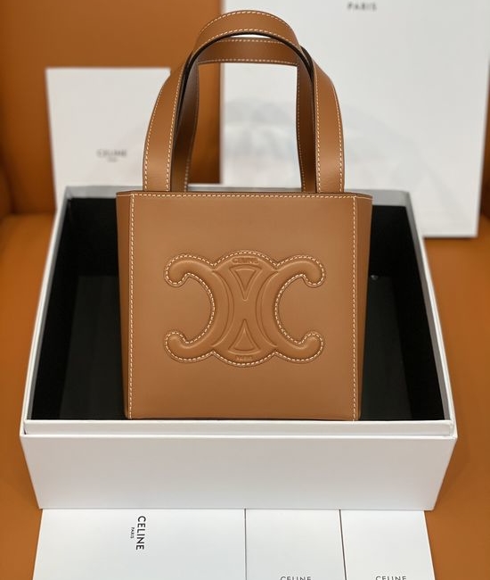 Celine Cuir Triomphe Cube Handbag 199202