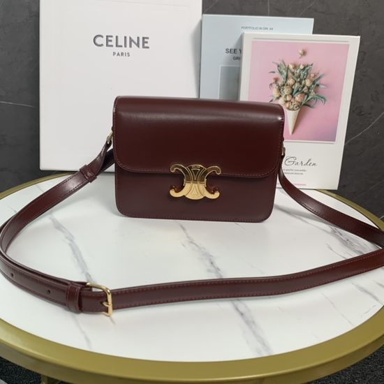 Celine Triomphe Leather and Lambskin Satchel 188423