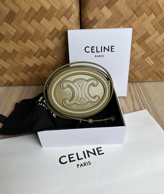 Celine Piglet Calfskin Crossbody Bag 198603