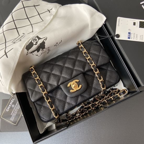 Chanel Classic Small Caviar Handbag 1116