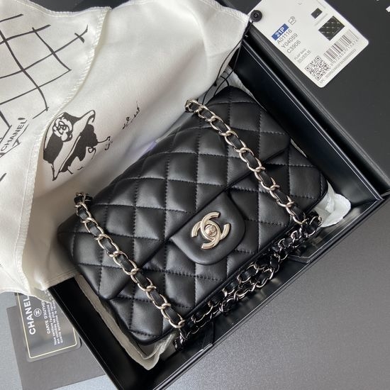 Chanel Classic Sheepskin Silver Hardware Bag 1116