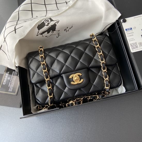 Chanel Classic Series Lambskin Handbag 1116