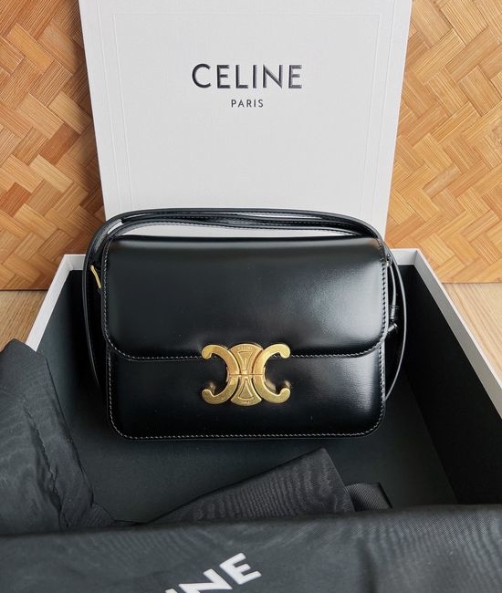 Celine TEEN TRIOMPHE Calfskin Handbag 188423