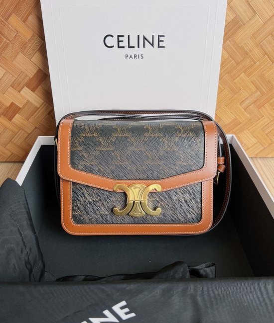 Celine Triomphe Canvas Handbag 188423