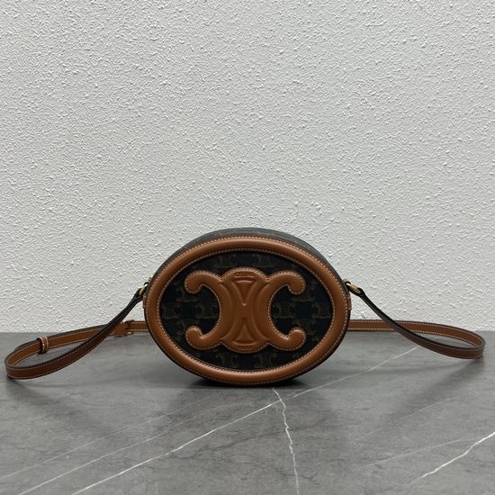 Celine Large Piggy Crossbody Bag 198604
