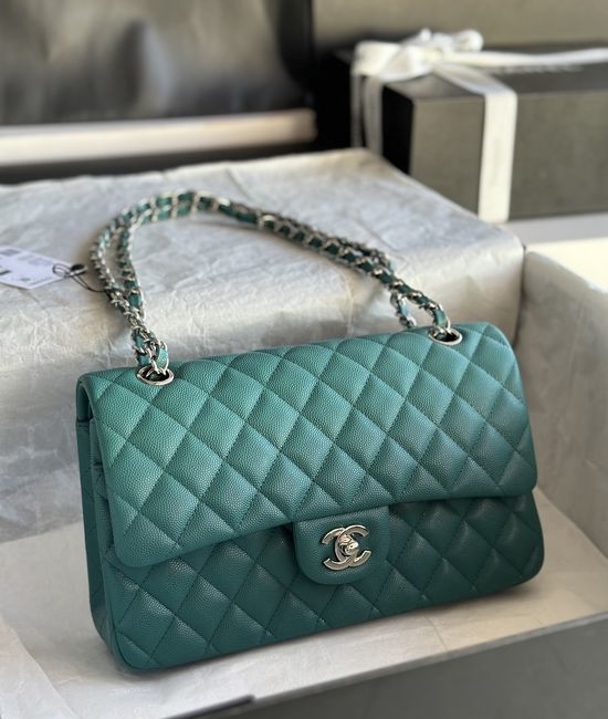 Chanel Classic Medium CF Handbag 01112
