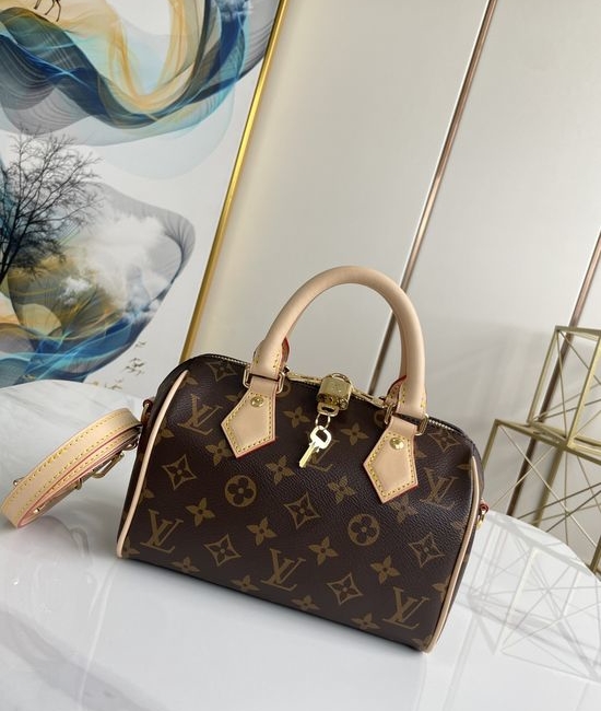 Louis Vuitton LV SPEEDY Monogram Handbag M46234