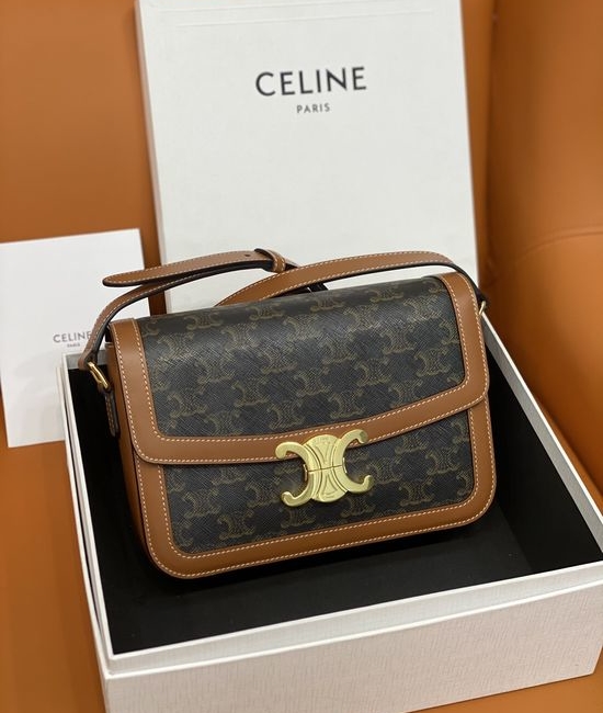 Celine Triomphe Printed Canvas Bag 187366