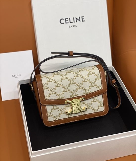 Celine Triomphe Printed Leather Bag 188423