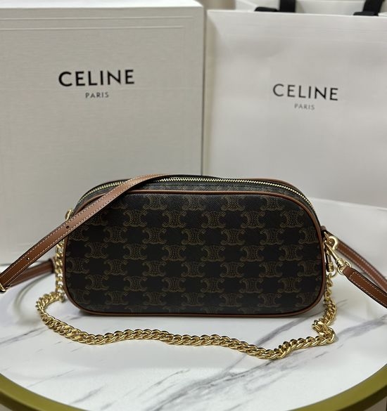 Celine MULTI Printed Calfskin Chain Bag 114122
