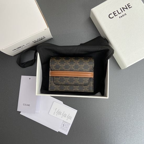 Celine Triomphe Printed Card Holder 10E242BZ904
