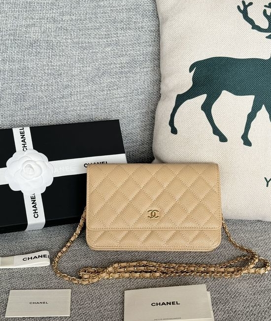 Chanel Caviar Leather Magnetic Closure Bag AP330