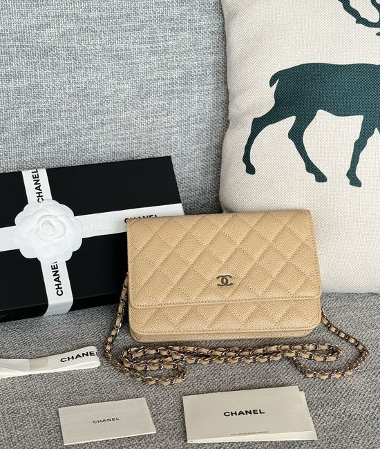 Chanel Caviar Leather Magnetic Closure Bag AP330