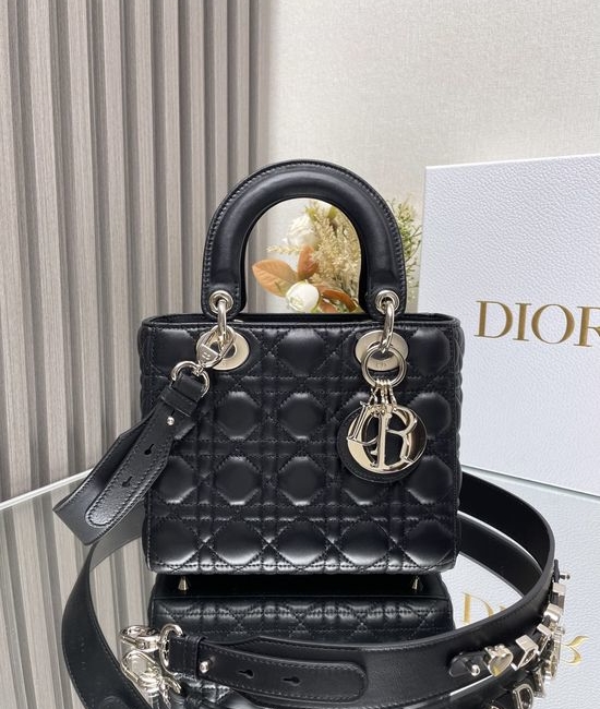 Christian Dior CD Lady Christian Dior CD My ABC Lambskin Handbag 0538