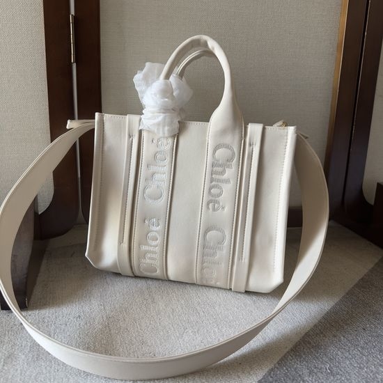 Chloe Woody Medium Nylon Tote Bag 6081