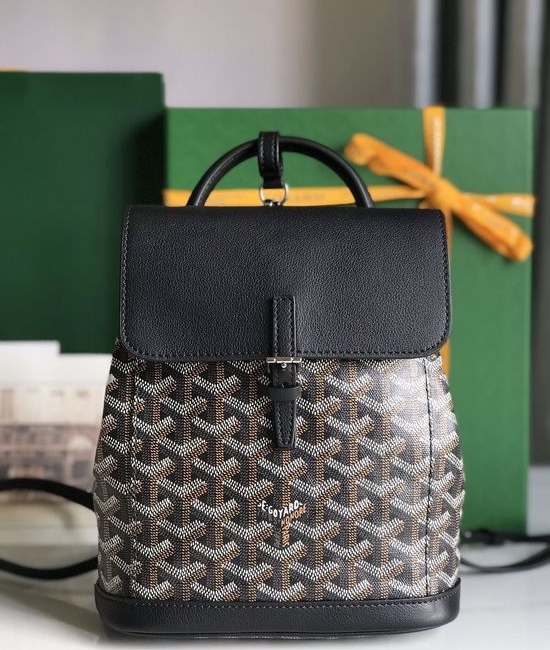 Goyard Alpin Mini Convertible Backpack 020195-1