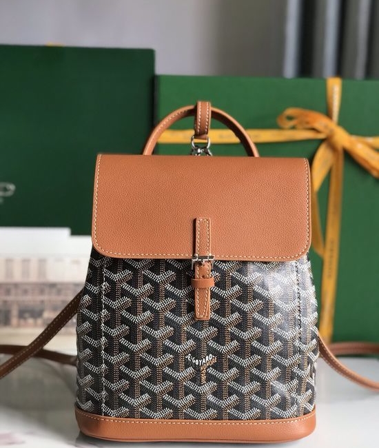 Goyard Alpin Mini Convertible Backpack 020195-1