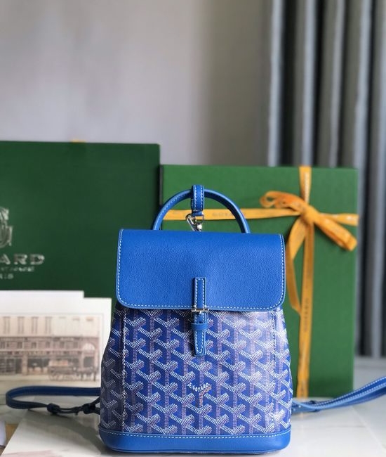 Goyard Alpin Mini Convertible Backpack 020195-1