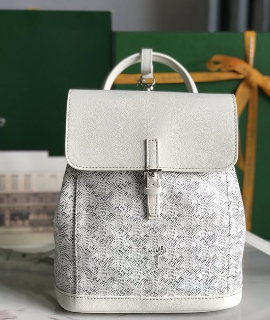 Goyard Alpin Mini Backpack 020195-1