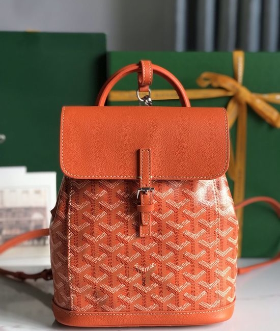 Goyard Alpin Mini Backpack 020195-1